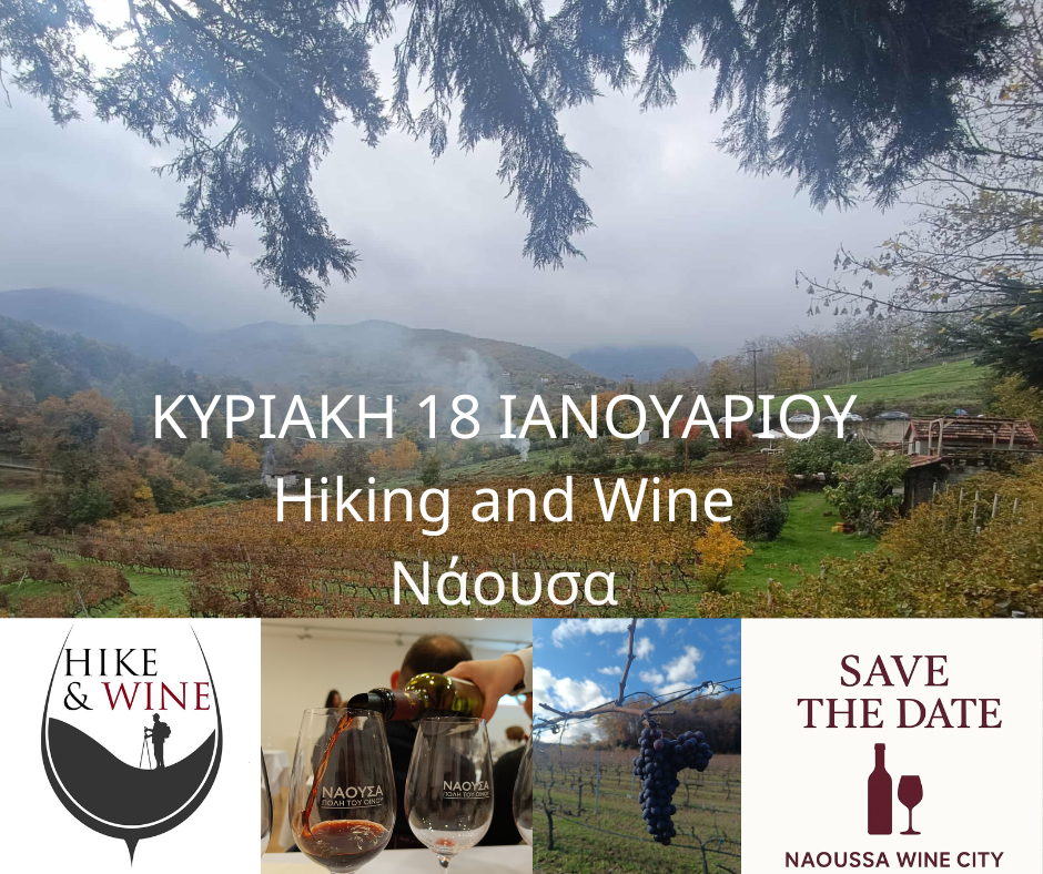 Ξινόμαυρο